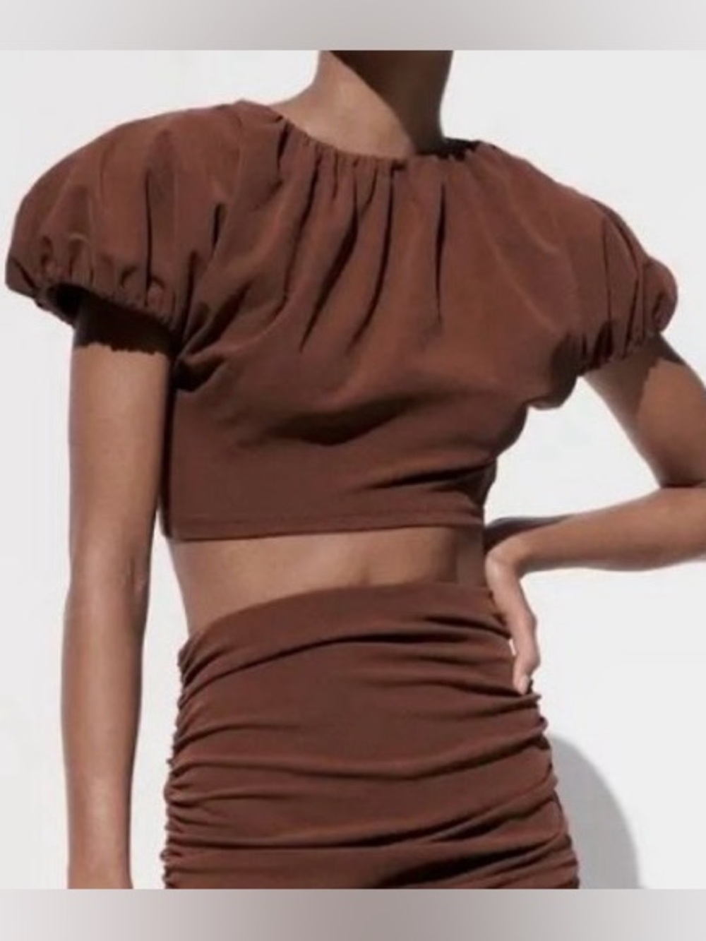 ✨Zara Brown Puff Sleeve Crop Top Size L